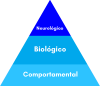 3-mecanismos-para-incentivar-os-hormônios-do-sono-bebe-dorminhoco-10k.png